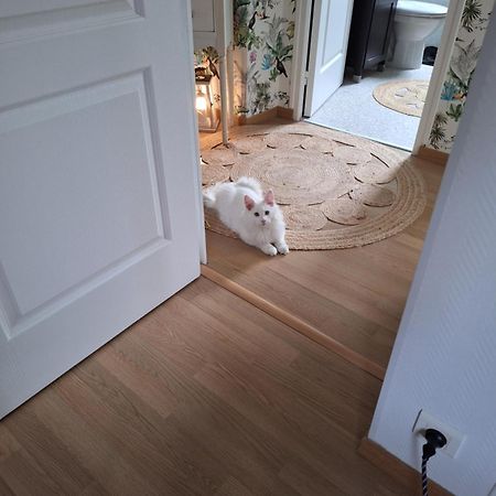 Chambre Climatisee Au Coeur De Brive Avec Televiseur Connecte Wifi Netflix エクステリア 写真